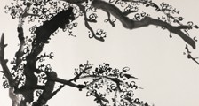 药物咨询师招生简章