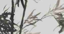 针对人社部人事考试中心发文侵犯JYPC合法权益的严正声明